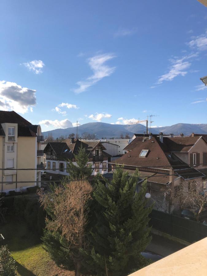 Appartamento Au Pied Des Vosges Obernai Esterno foto